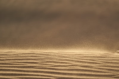 浅棕色砂的焦点摄影
